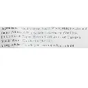 white rabbit_ing2.webp